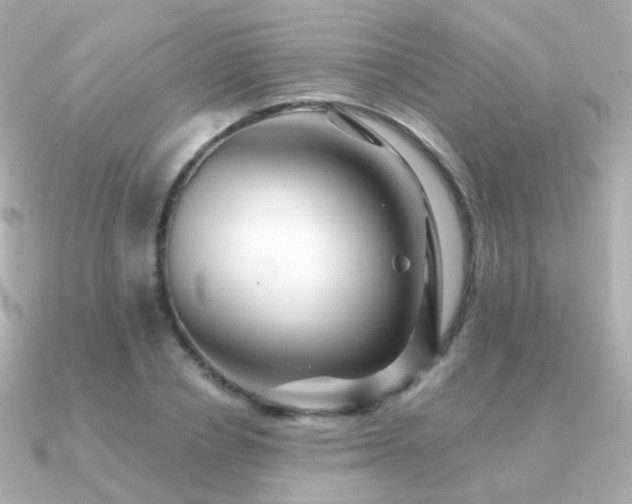 X0000091340834200708101442