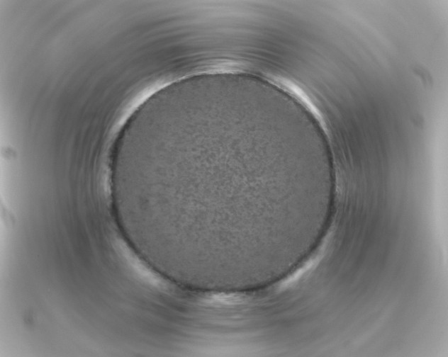 X0000091340835200708101442