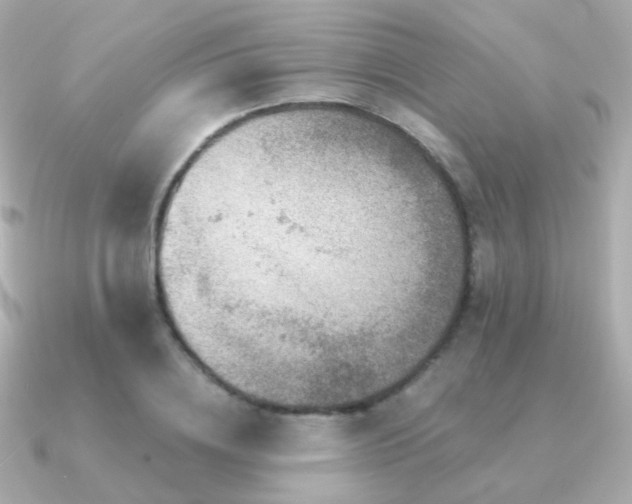 X0000091340836200708101442