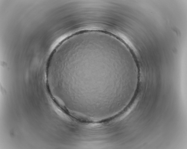 X0000091340837200708101442