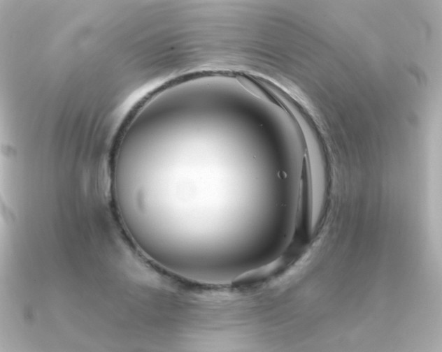 X0000091340838200708101442