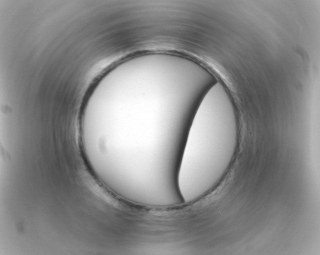 X0000091340840200708101442