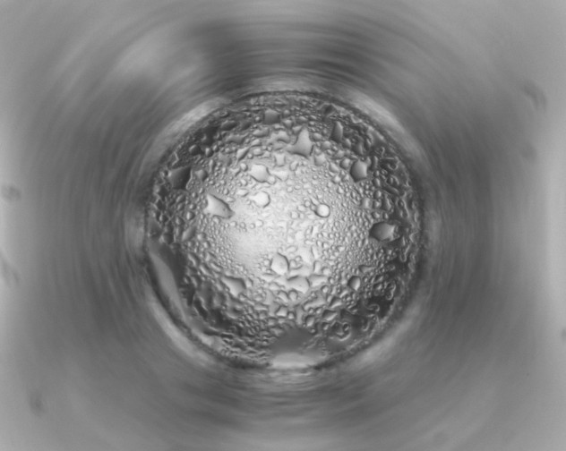 X0000091340841200708101442