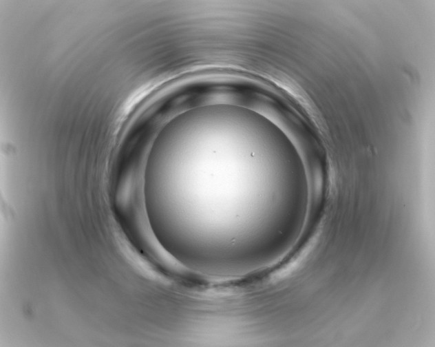 X0000091340842200708101442
