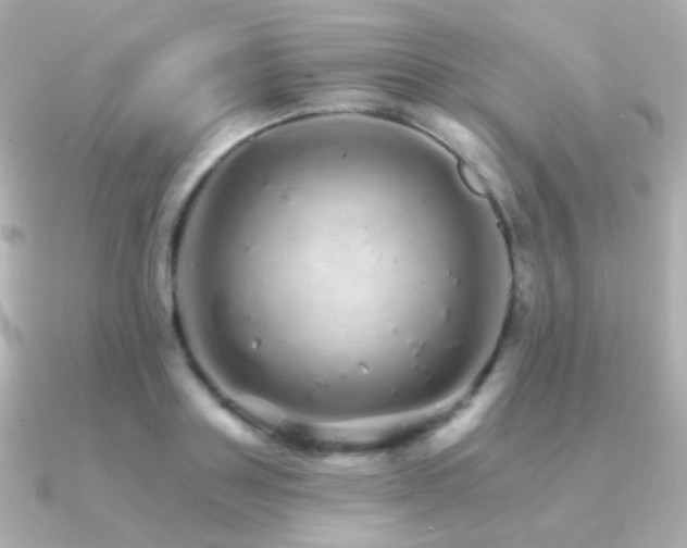 X0000091340843200708101442