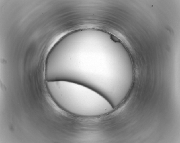X0000091340844200708101442