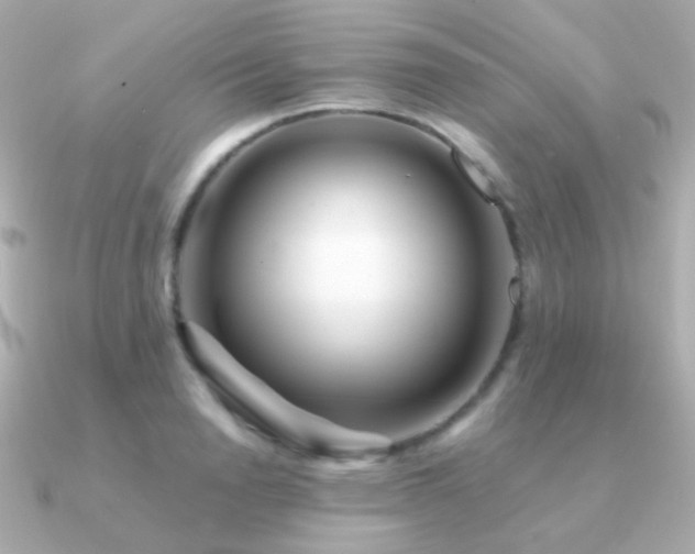 X0000091340846200708101442