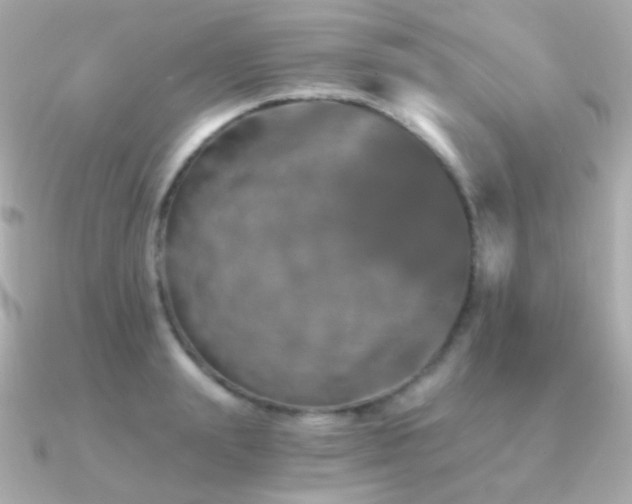 X0000091340847200708101442