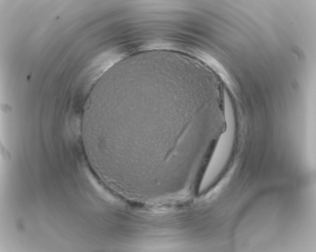 X0000091340849200708101442