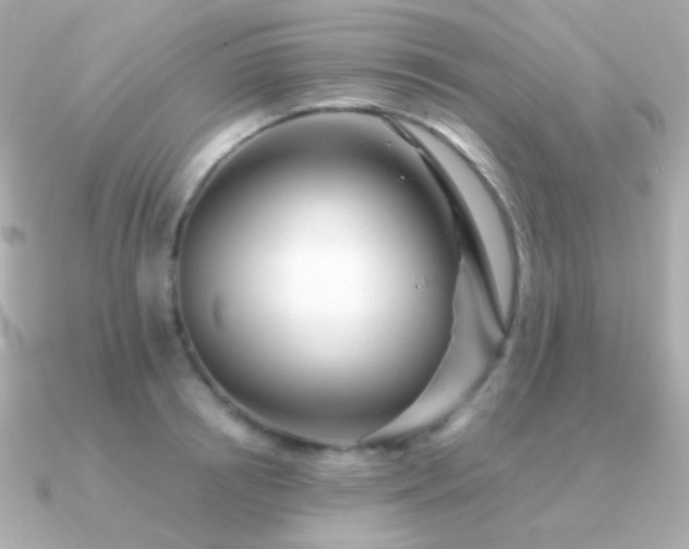 X0000091340850200708101442