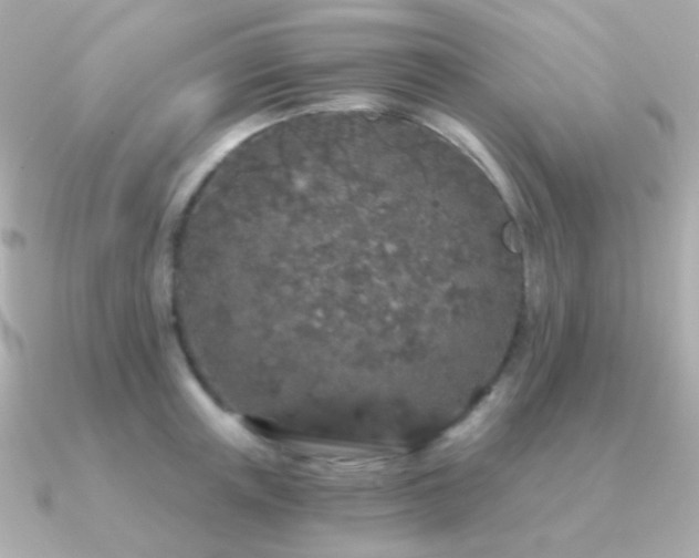 X0000091340851200708101442