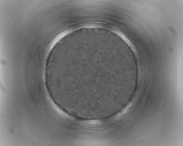 X0000091340853200708101442