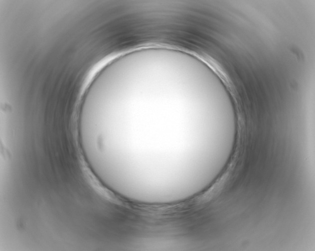 X0000091340854200708101442