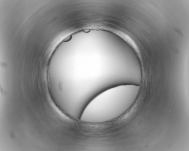 X0000091340855200708101442