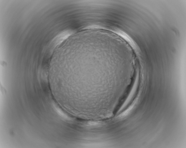 X0000091340857200708101442