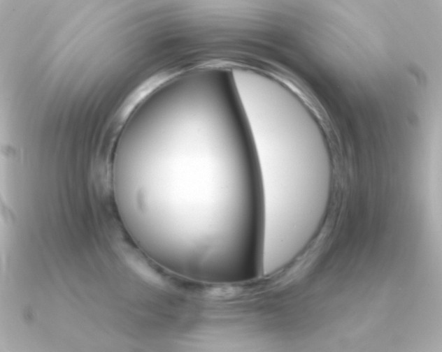 X0000091340858200708101442