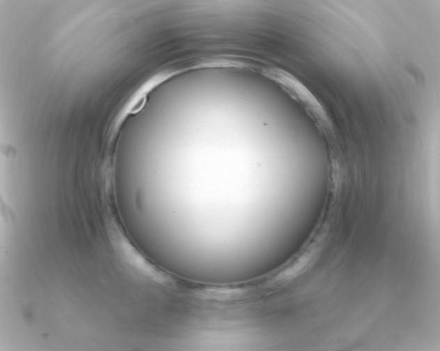 X0000091340860200708101442