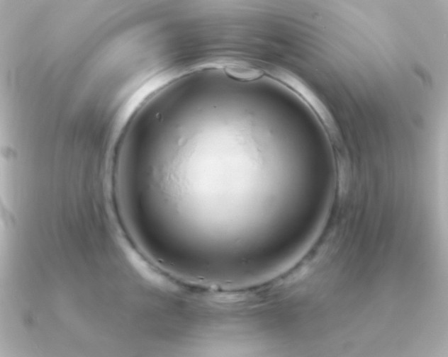 X0000091340861200708101442