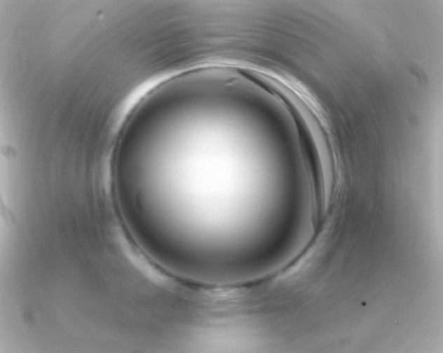 X0000091340862200708101442