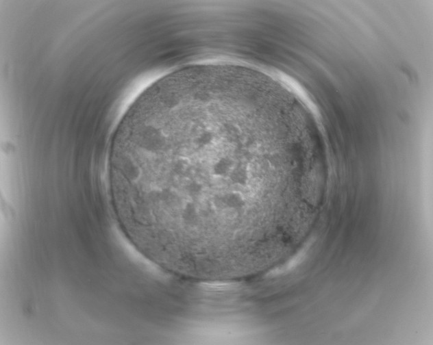 X0000091340863200708101442