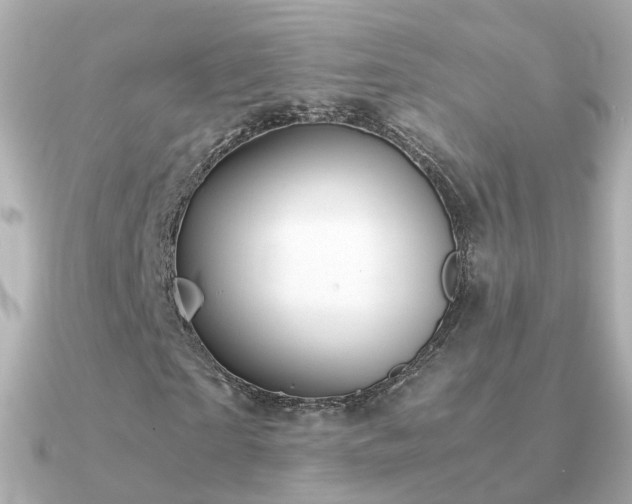 X0000091340865200708101442