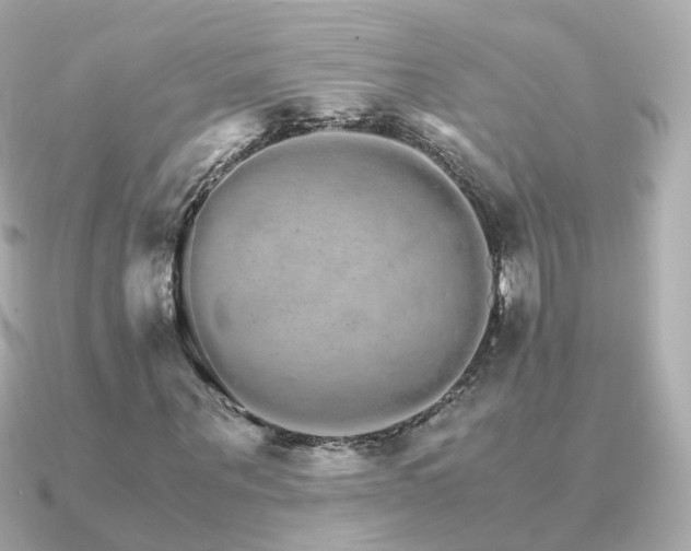 X0000091340867200708101442