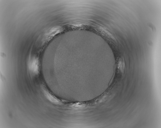 X0000091340868200708101442