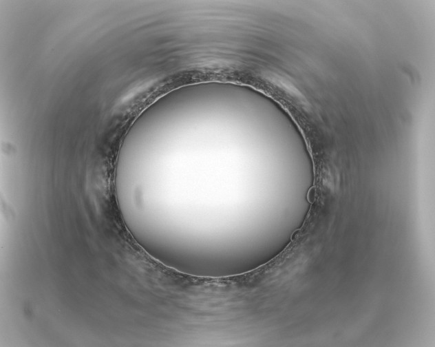 X0000091340869200708101442