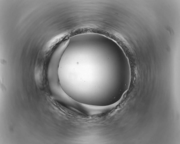 X0000091340872200708101442
