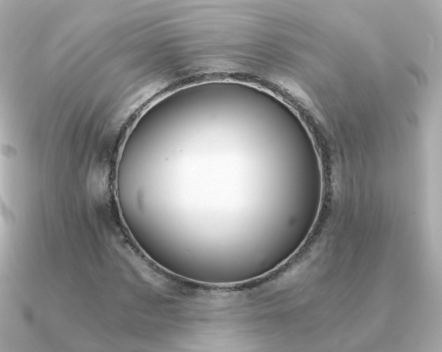 X0000091340873200708101442