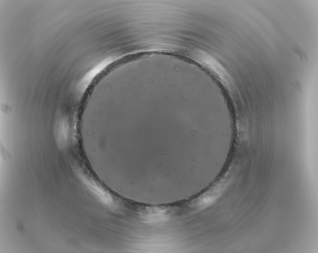 X0000091340875200708101442