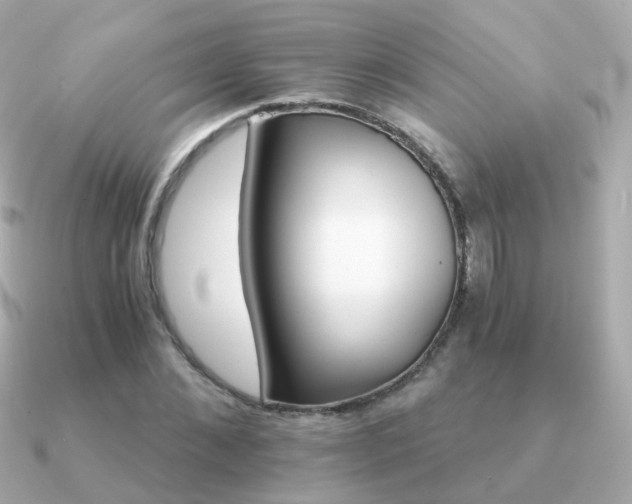 X0000091340876200708101442