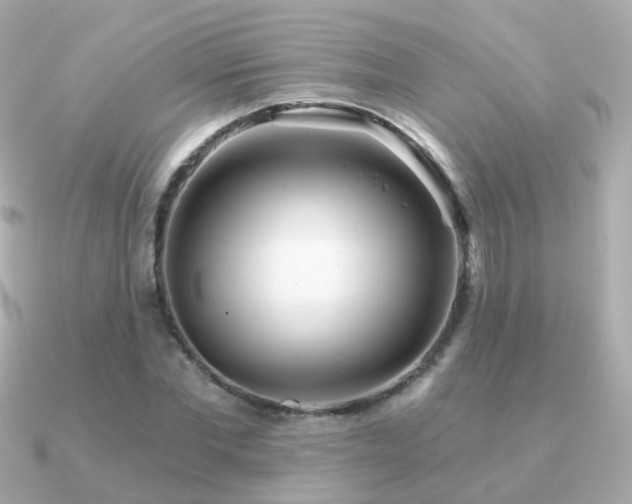 X0000091340877200708101442
