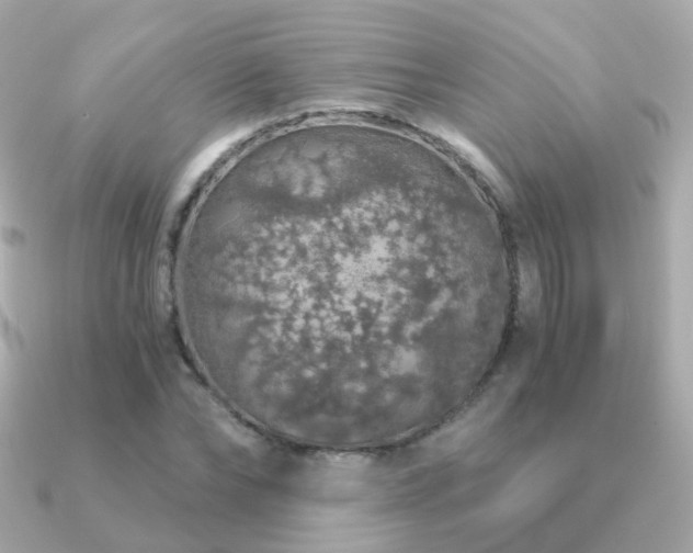 X0000091340878200708101442