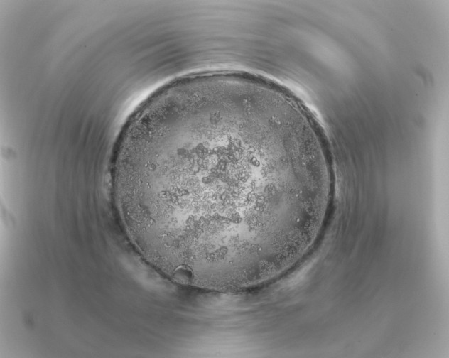 X0000091340879200708101442