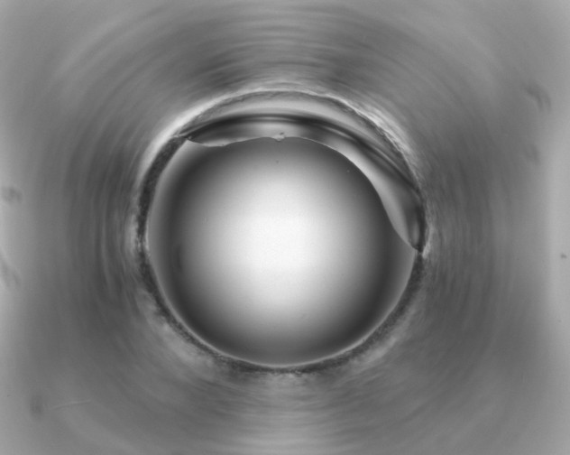X0000091340880200708101442