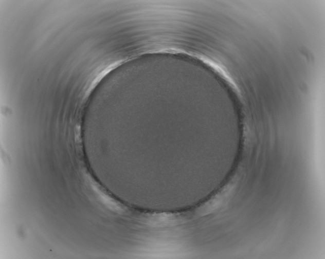 X0000091340881200708101442