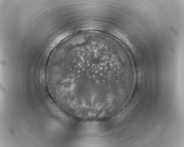 X0000091340882200708101442