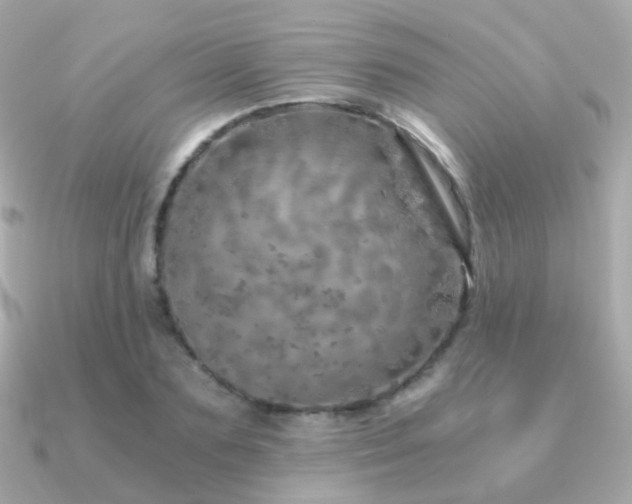 X0000091340883200708101442