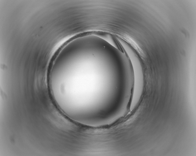 X0000091340884200708101442