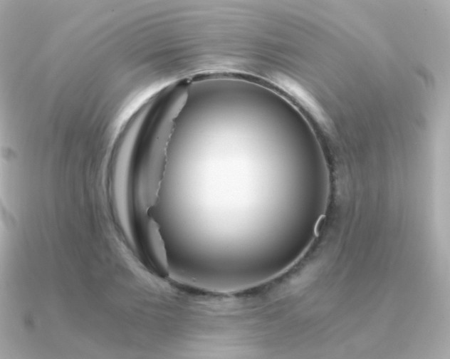 X0000091340885200708101442
