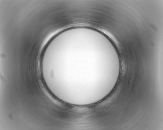 X0000091340886200708101441