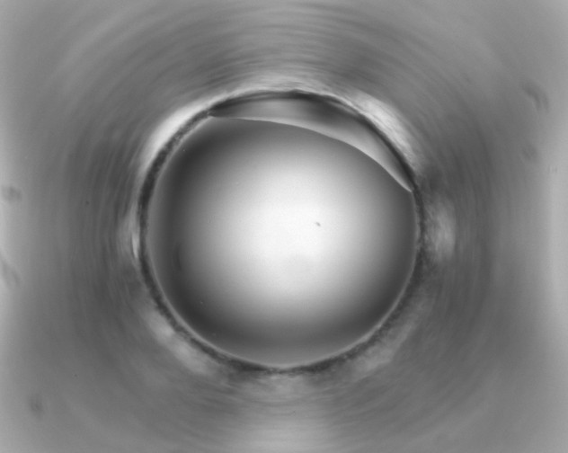 X0000091340888200708101441