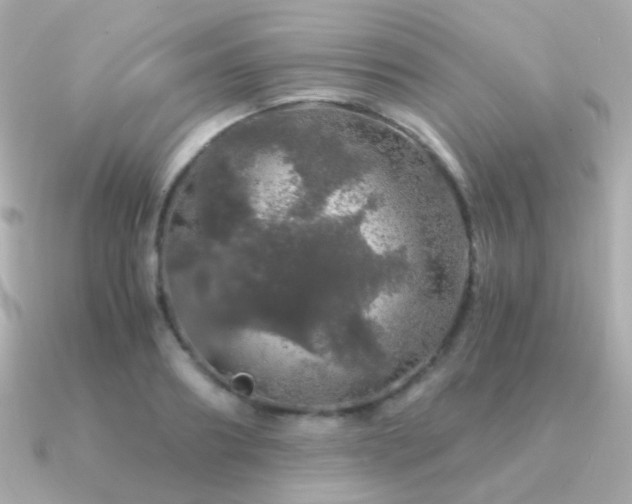 X0000091340890200708101441