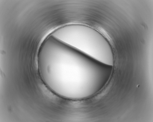 X0000091340892200708101441