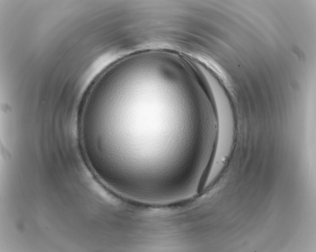 X0000091340894200708101441