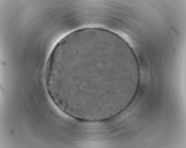 X0000091340895200708101441