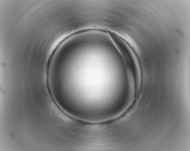 X0000091340896200708101441