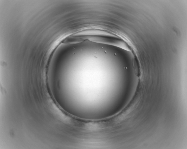 X0000091340898200708101441