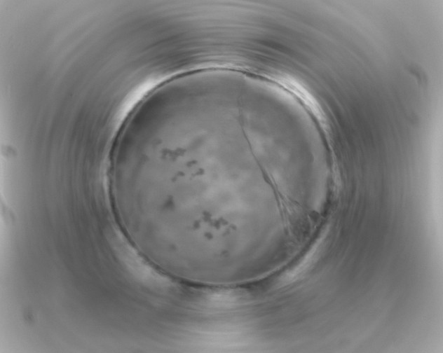X0000091340899200708101441